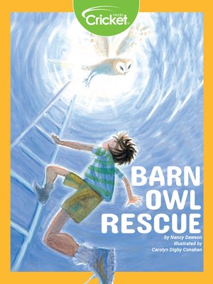 cover image of Barn Owl Rescue